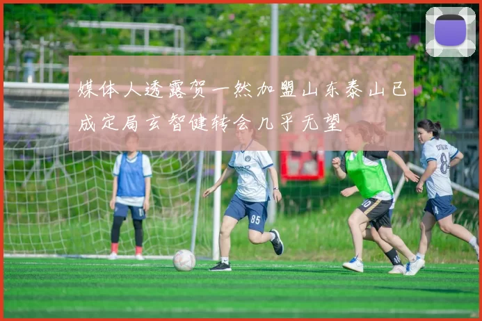 媒体人透露贺一然加盟山东泰山已成定局玄智健转会几乎无望